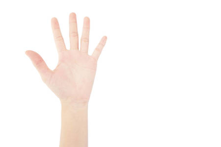 Hand Palm Recognition Dataset: AI for Security